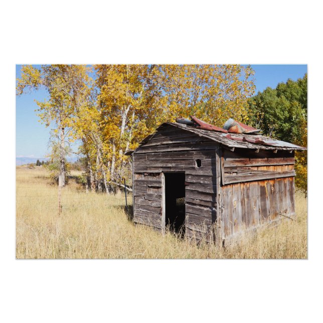 Póster Solitario Little Shed (Anverso)