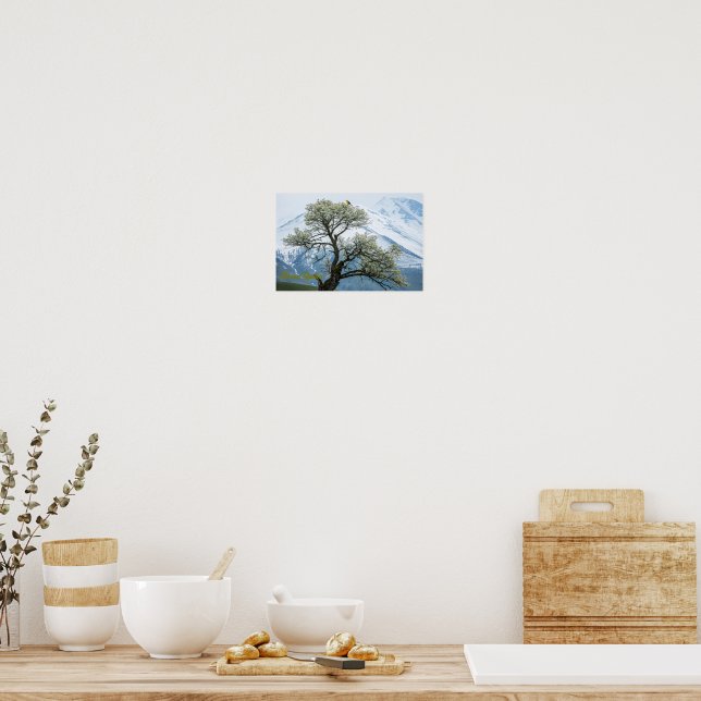 Póster Solitary Blossoming Tree and Snowy Mountains (Cocina)