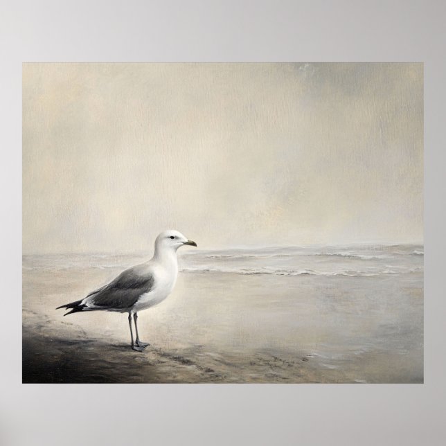 Póster Solitary Seagull by the Shore (Frente)