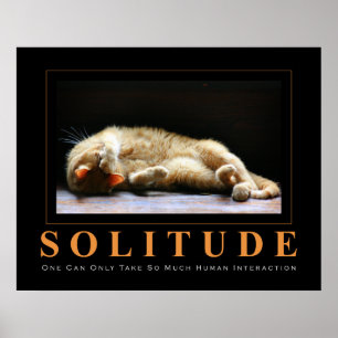 Póster SOLITUDE Cat Photography Anti-Motivational Poster
