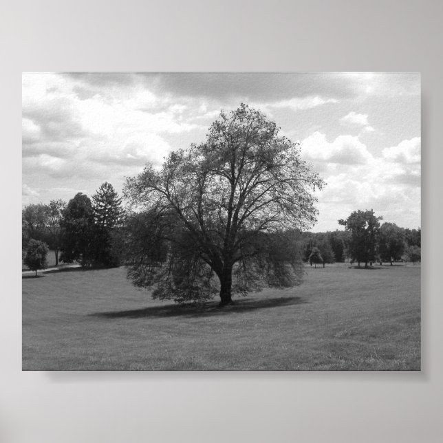 Póster Solo (Frente)