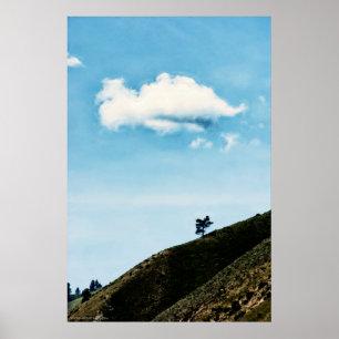 Póster Solo