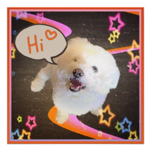 Póster Solo diciendo "Hola" 
