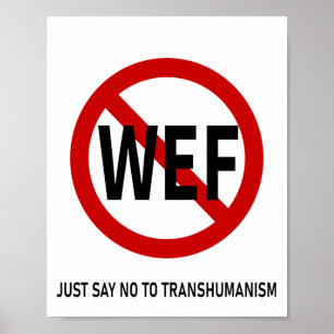 PÓSTER SÓLO DIGAN NO AL TRANSHUMANISMO