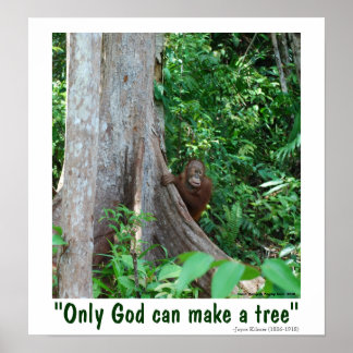 Póster Sólo Dios puede hacer un árbol y vida silvestre