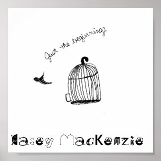 Póster Sólo El Poster Principiante