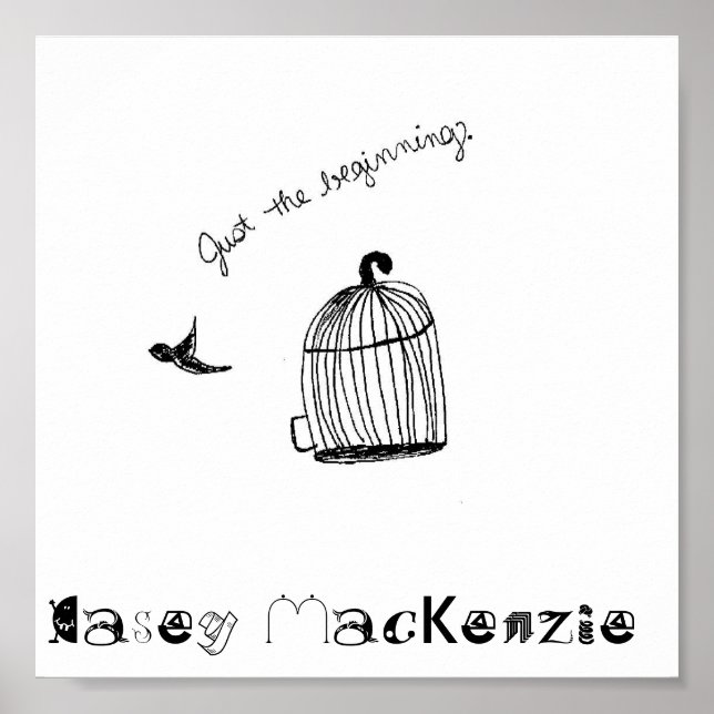 Póster Sólo El Poster Principiante (Frente)