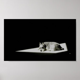 Póster Solo en la luz
