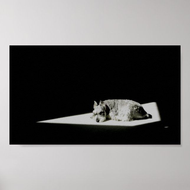 Póster Solo en la luz (Frente)