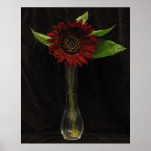 Póster Solo girasol rojo