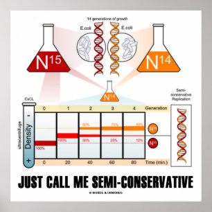 Póster Sólo Llámame Semi-Conservador (Replicación de ADN)