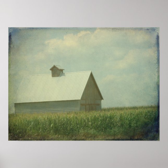 Póster Solo maíz para la empresa (Frente)