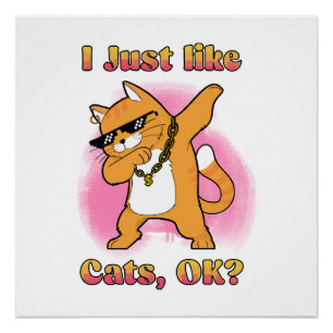 Póster Sólo Me Gustan Los Gatos, OK Gato Con Dab