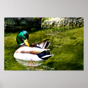 Póster Sólo me pregunto_