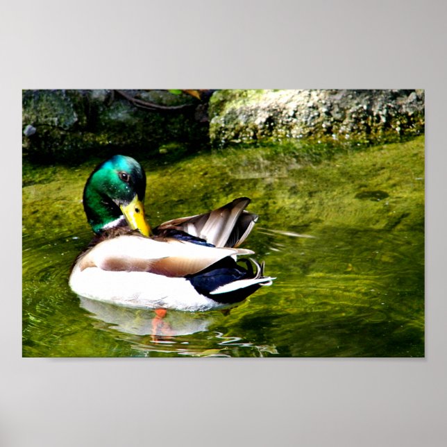 Póster Sólo me pregunto_ (Frente)