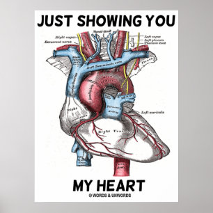 Póster Sólo mostrándote mi corazón (anatomía cardíaca)