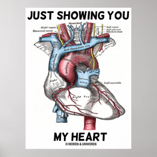 Póster Sólo mostrándote mi corazón (anatomía cardíaca)