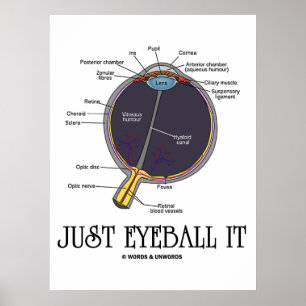 Póster Sólo Ojo (Aproximación De Anatomía De Ojos Diciend