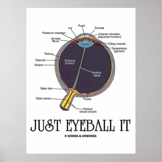Póster Sólo Ojo (Aproximación De Anatomía De Ojos Diciend