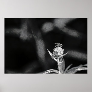 Póster Sólo oro de vuelo