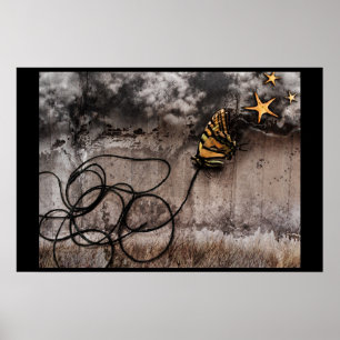 Póster solo para tocar las estrellas