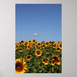 Póster Solo pasando