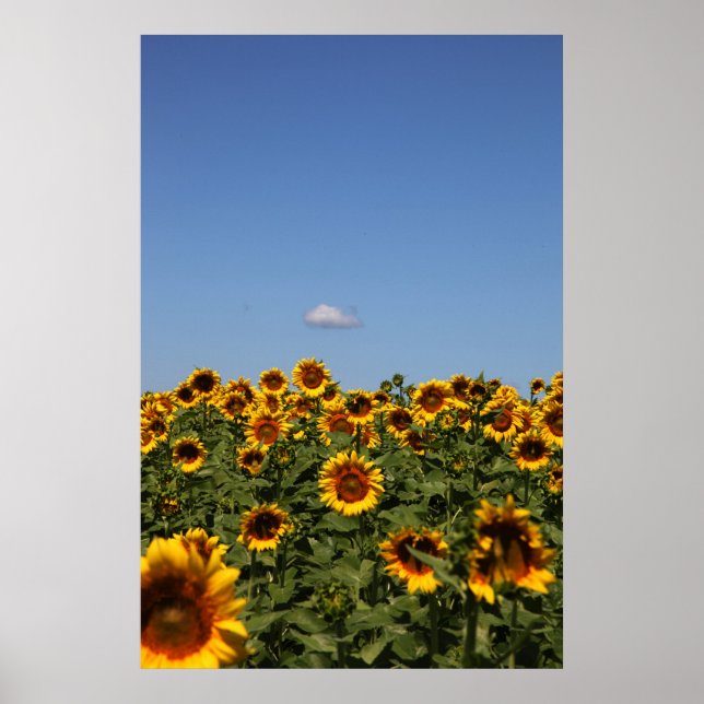 Póster Solo pasando (Frente)