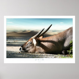 Póster sólo por un tiempo