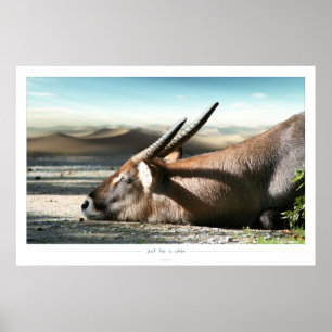 Póster sólo por un tiempo