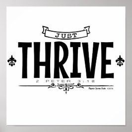 Póster Sólo Thrive