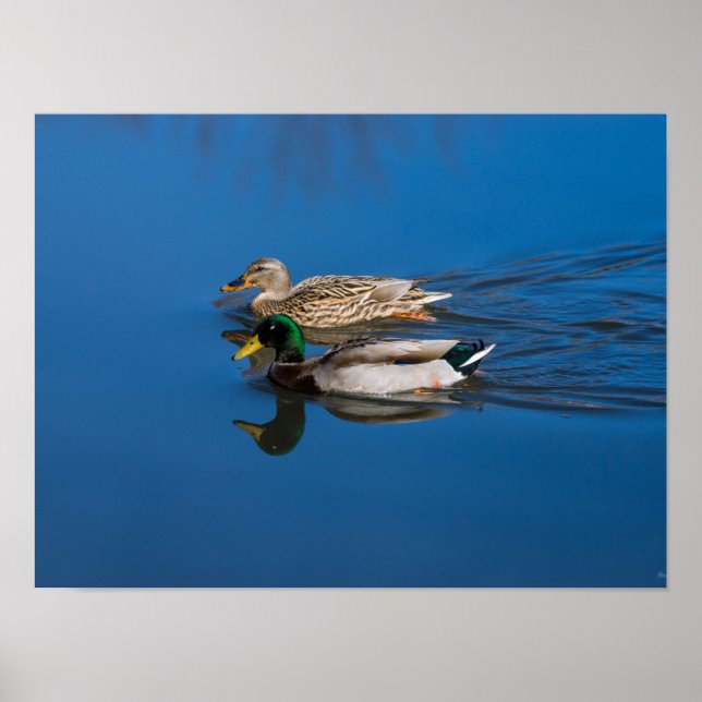 Póster Solo Tú Y Yo (Frente)