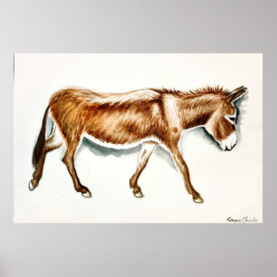 Póster Solo un burro