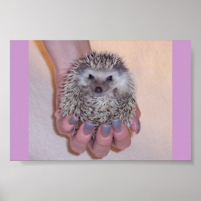 Póster Solo un puñado de peluche (Frente)