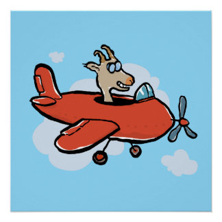 Póster sólo una cabra volando un avión