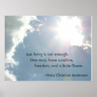 Póster Solo vivir no es suficiente.