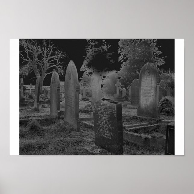 Póster Solorizado (Frente)