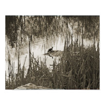 Solsticio de invierno