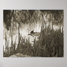 Póster Solsticio de invierno