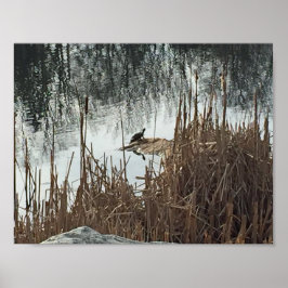 Póster Solsticio de invierno