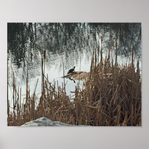 Póster Solsticio de invierno