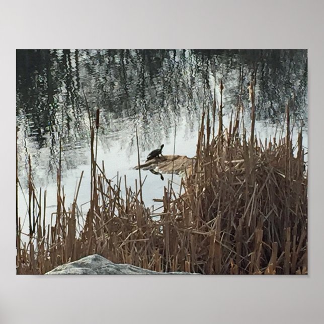 Póster Solsticio de invierno (Frente)