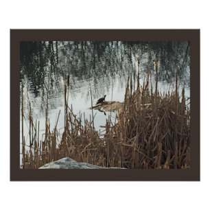 Póster Solsticio de invierno