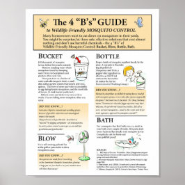 Póster Soluciones para mosquitos amigables con la vida si