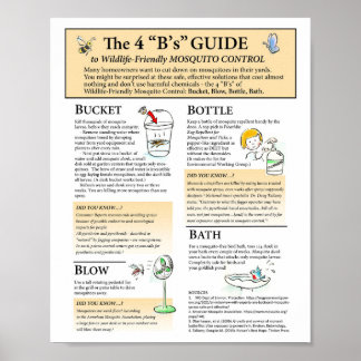 Póster Soluciones para mosquitos amigables con la vida si