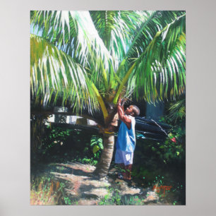 Póster Sombra 2014 del coco