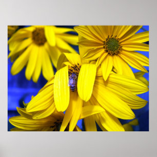 Póster Sombras amarillas, Poster de abejas azules