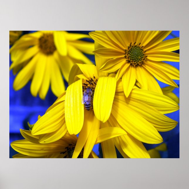 Póster Sombras amarillas, Poster de abejas azules (Frente)