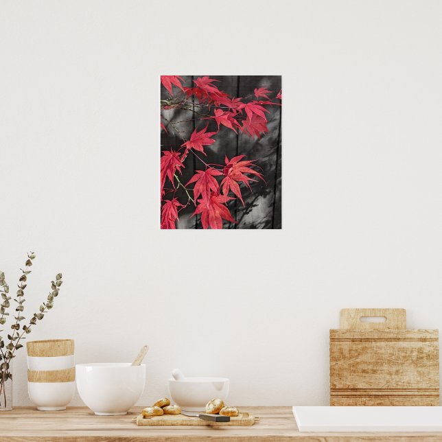 Póster Sombras de hojas rojas de Arce Japonés (Cocina)