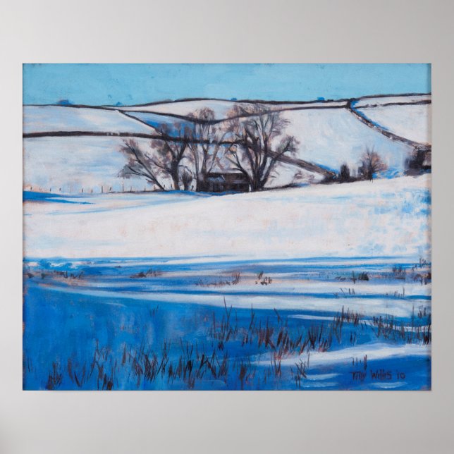 Póster Sombras de nieve 2010 (Frente)