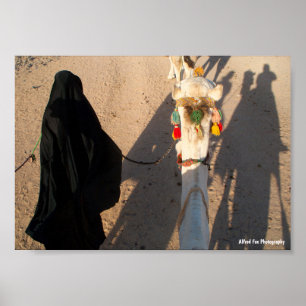 Póster Sombras del Desierto